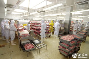 回眸40年 7 万福集团 县级冷藏厂跻身中国肉类行业50强